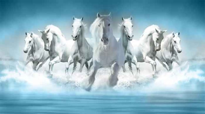 Lucky Seven Galloping White Running Horses Painting & Its Direction