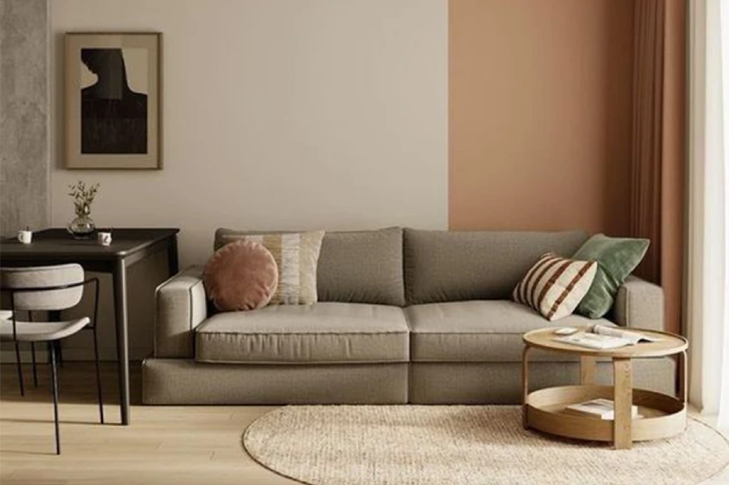 Top asian paint colour combination for living room