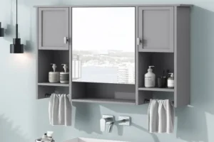 Mirror-mounted Storage Units