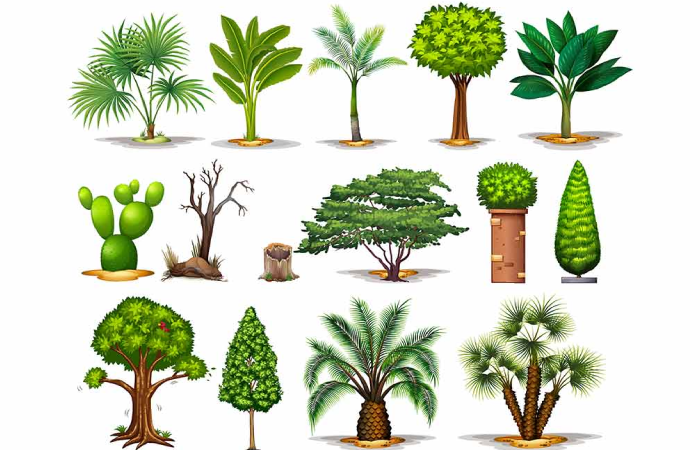 Types of Plants to Use: