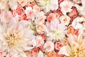 Best Soft Pink Floral Wallpapers to Buy